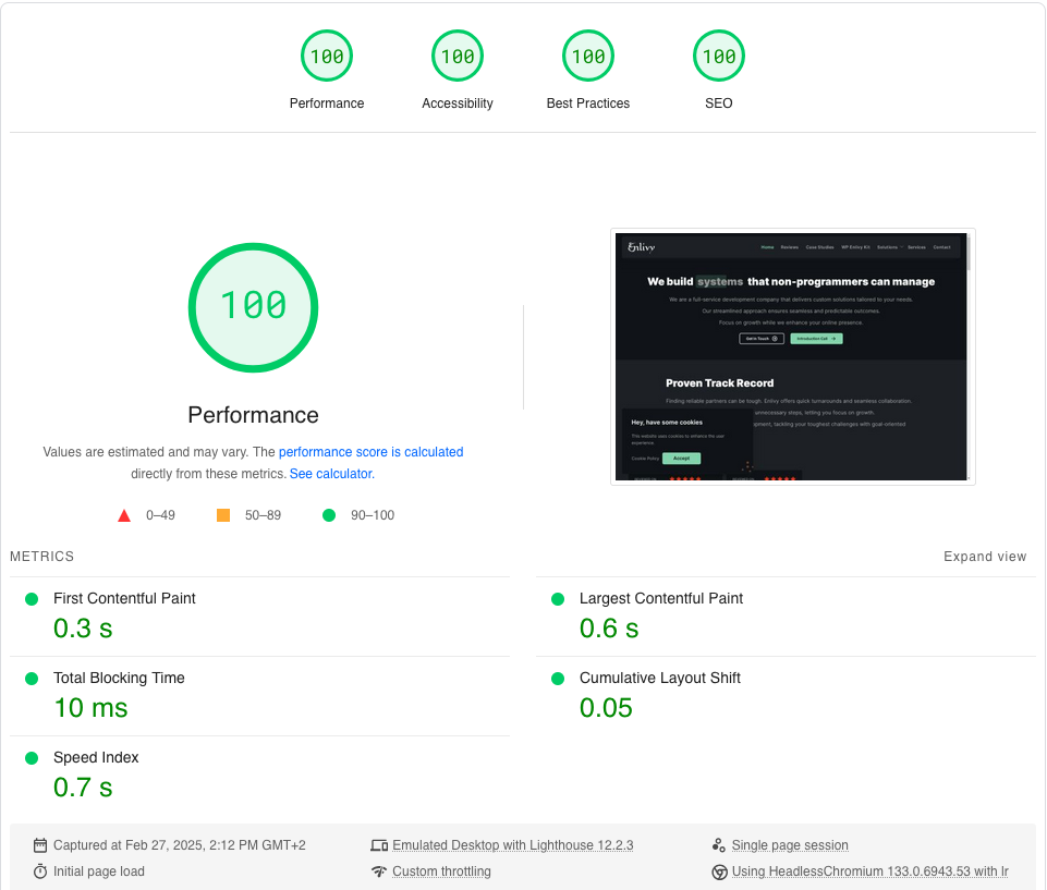 page speed insights enlivy dev 27 feb 2025